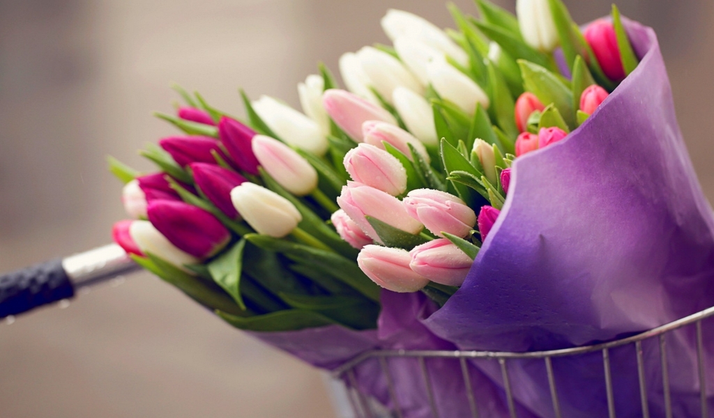Tulips Bouquets for 1024 x 600 widescreen resolution