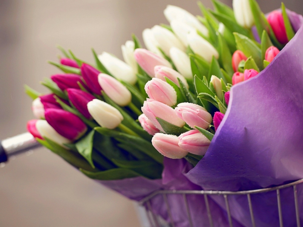 Tulips Bouquets for 1024 x 768 resolution
