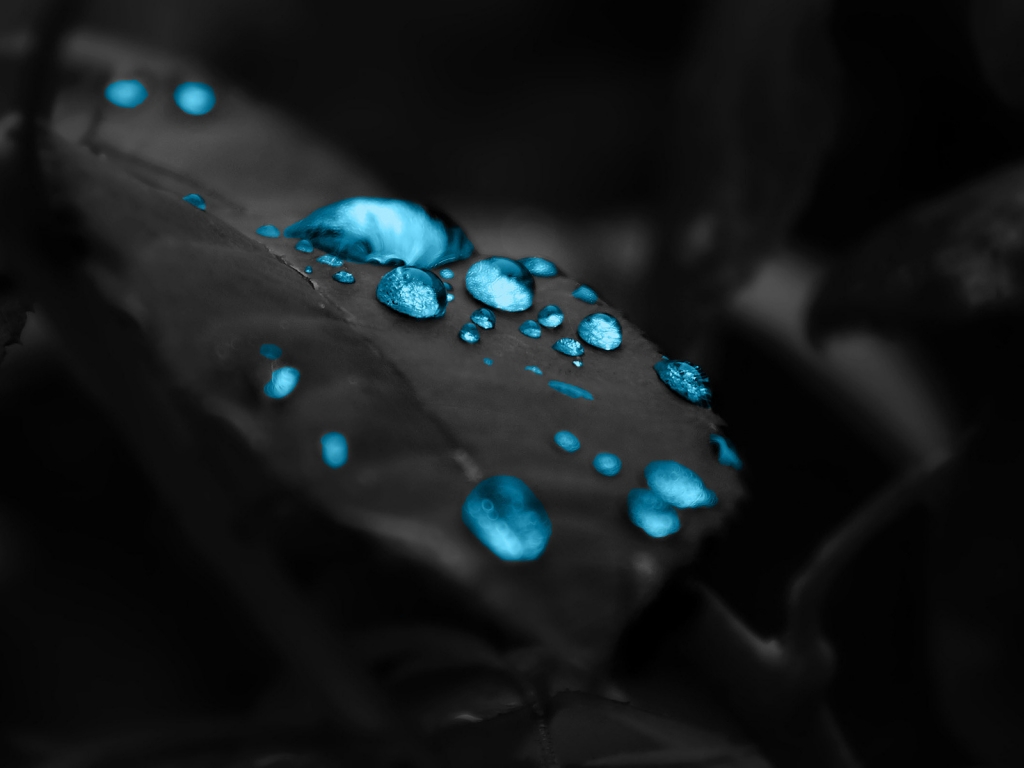 Turquoise Water Drops for 1024 x 768 resolution
