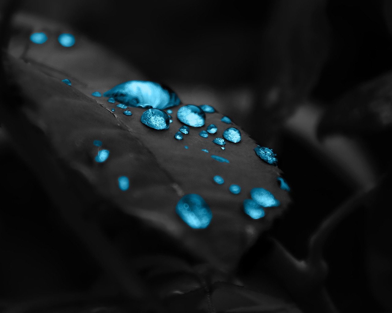 Turquoise Water Drops for 1280 x 1024 resolution