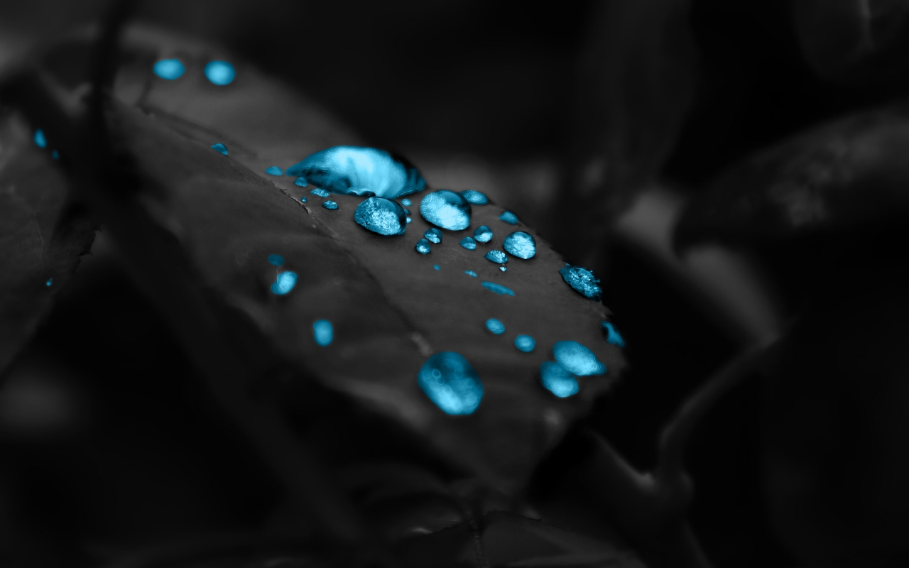 Turquoise Water Drops for 1280 x 800 widescreen resolution