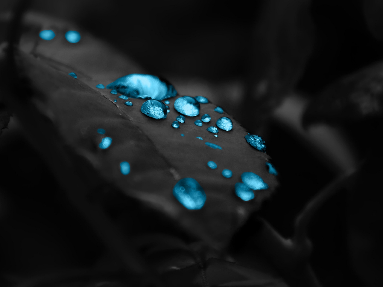 Turquoise Water Drops for 1280 x 960 resolution