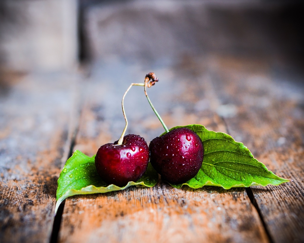 Two Cherries with Leaves for 1280 x 1024 resolution