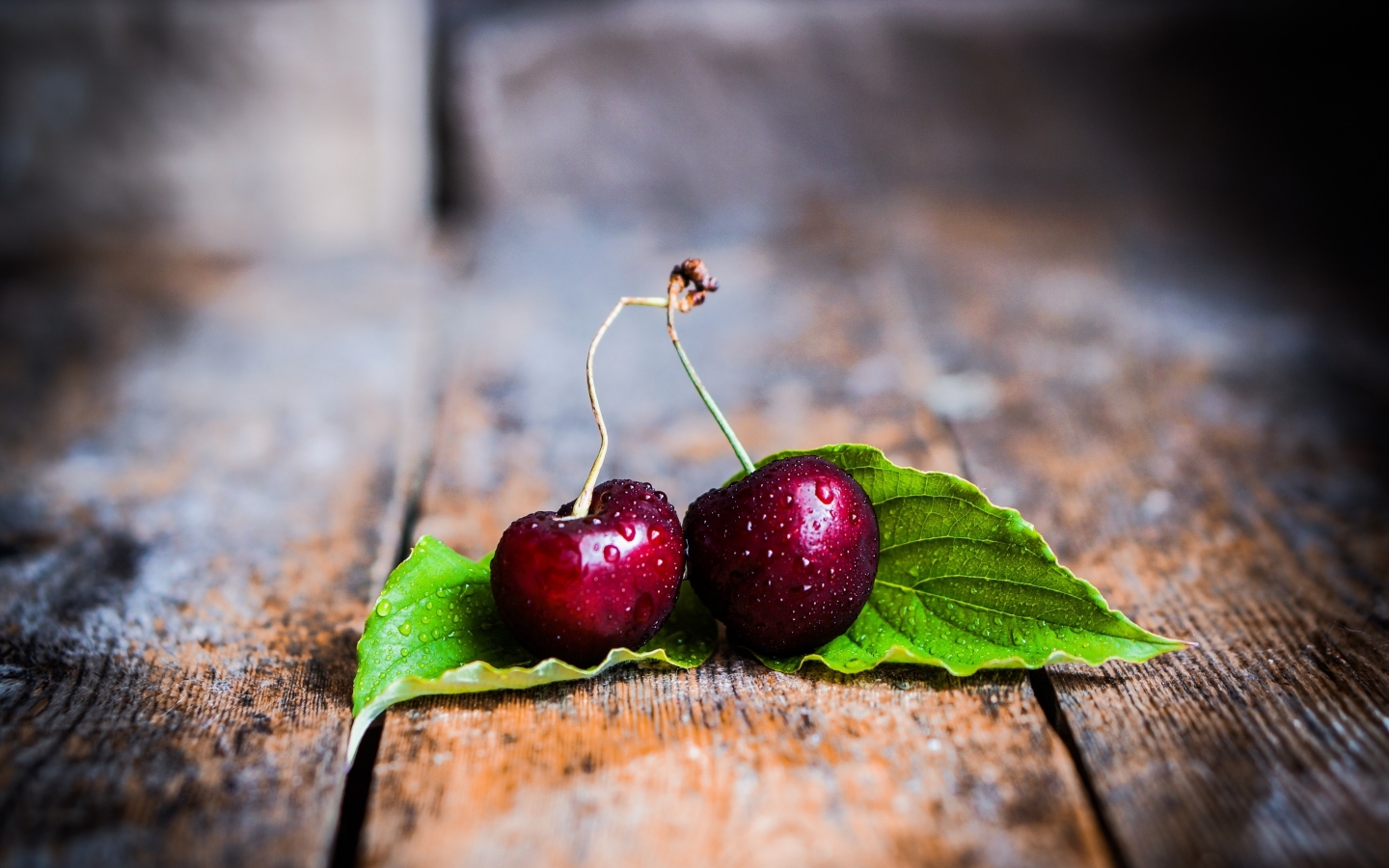 Two Cherries with Leaves for 1440 x 900 widescreen resolution