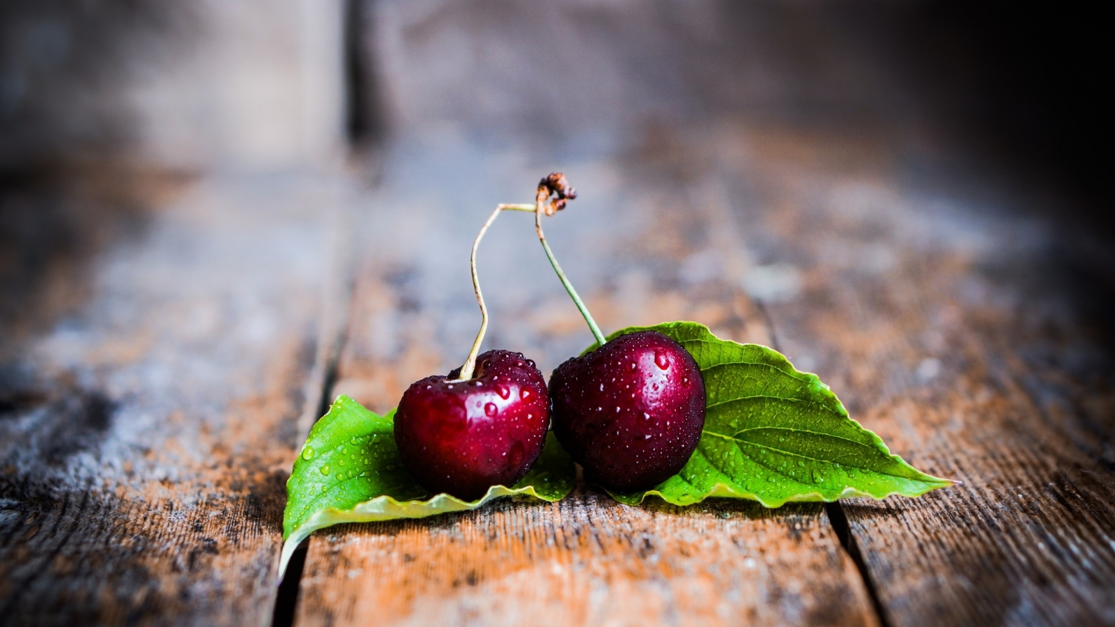Two Cherries with Leaves for 1600 x 900 HDTV resolution