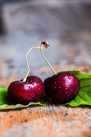 Two Cherries with Leaves for 320 x 480 iPhone resolution