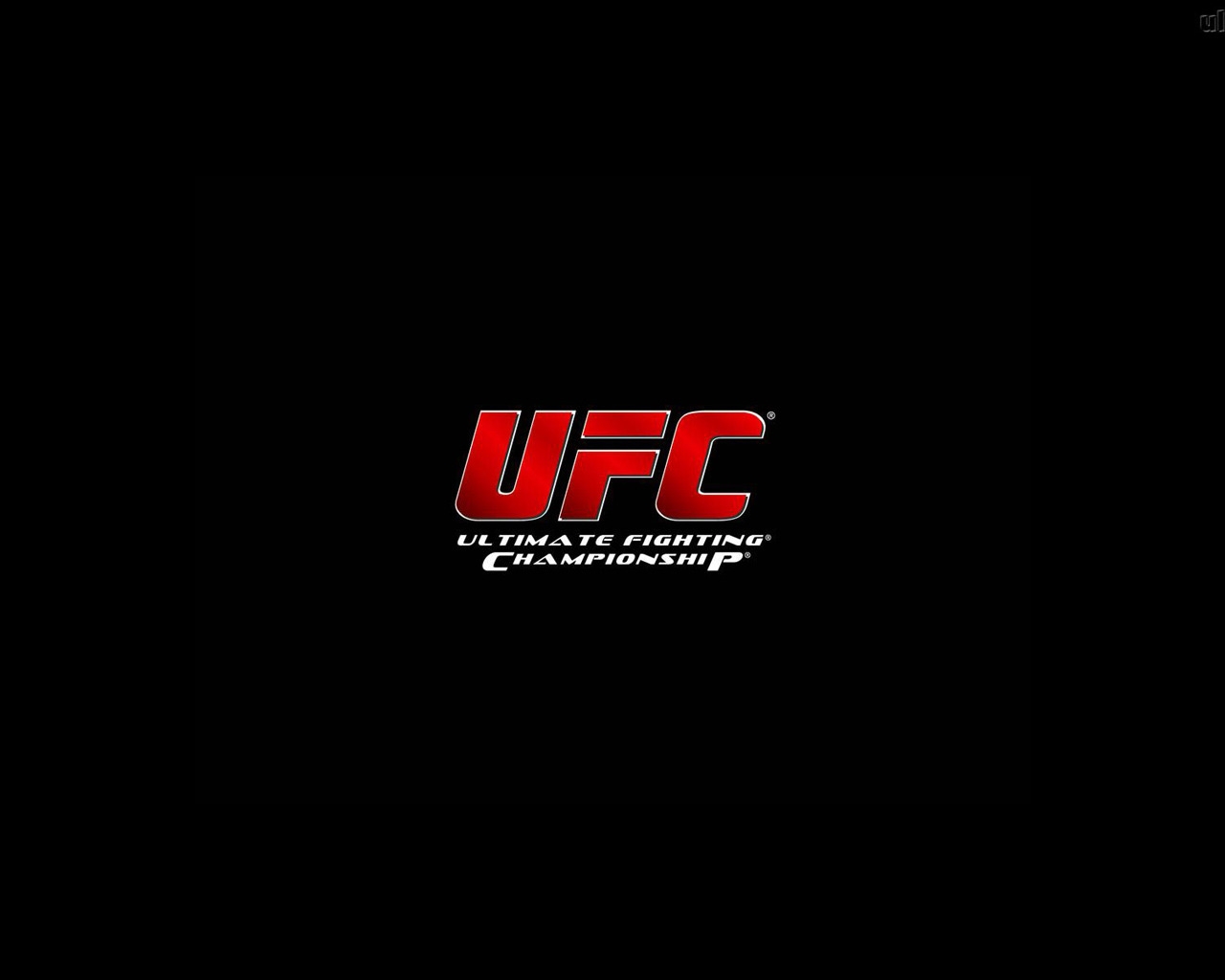 UFC Logo for 1280 x 1024 resolution