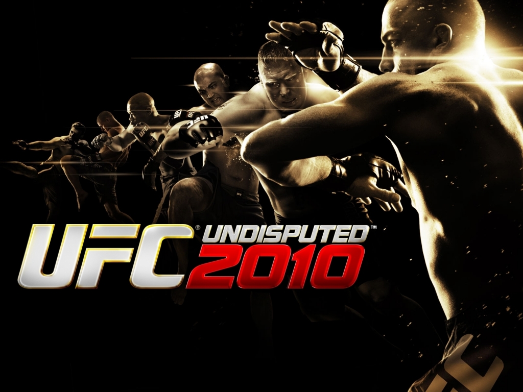 UFC Undisputed 2010 for 1024 x 768 resolution