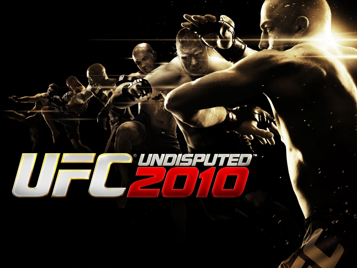 UFC Undisputed 2010 for 1152 x 864 resolution