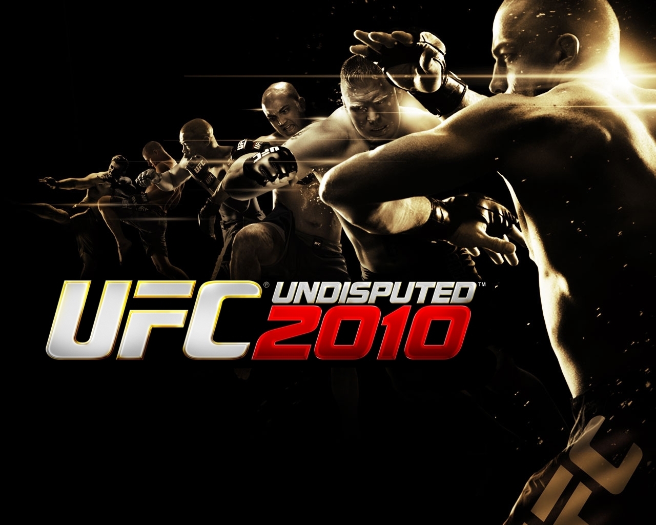 UFC Undisputed 2010 for 1280 x 1024 resolution