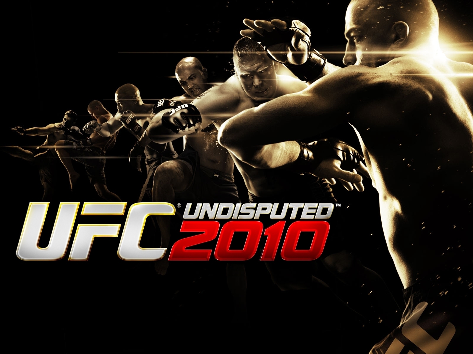 UFC Undisputed 2010 for 1600 x 1200 resolution