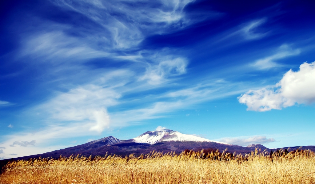 Warm and Sunny Landscape for 1024 x 600 widescreen resolution