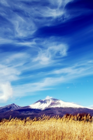 Warm and Sunny Landscape for 320 x 480 iPhone resolution