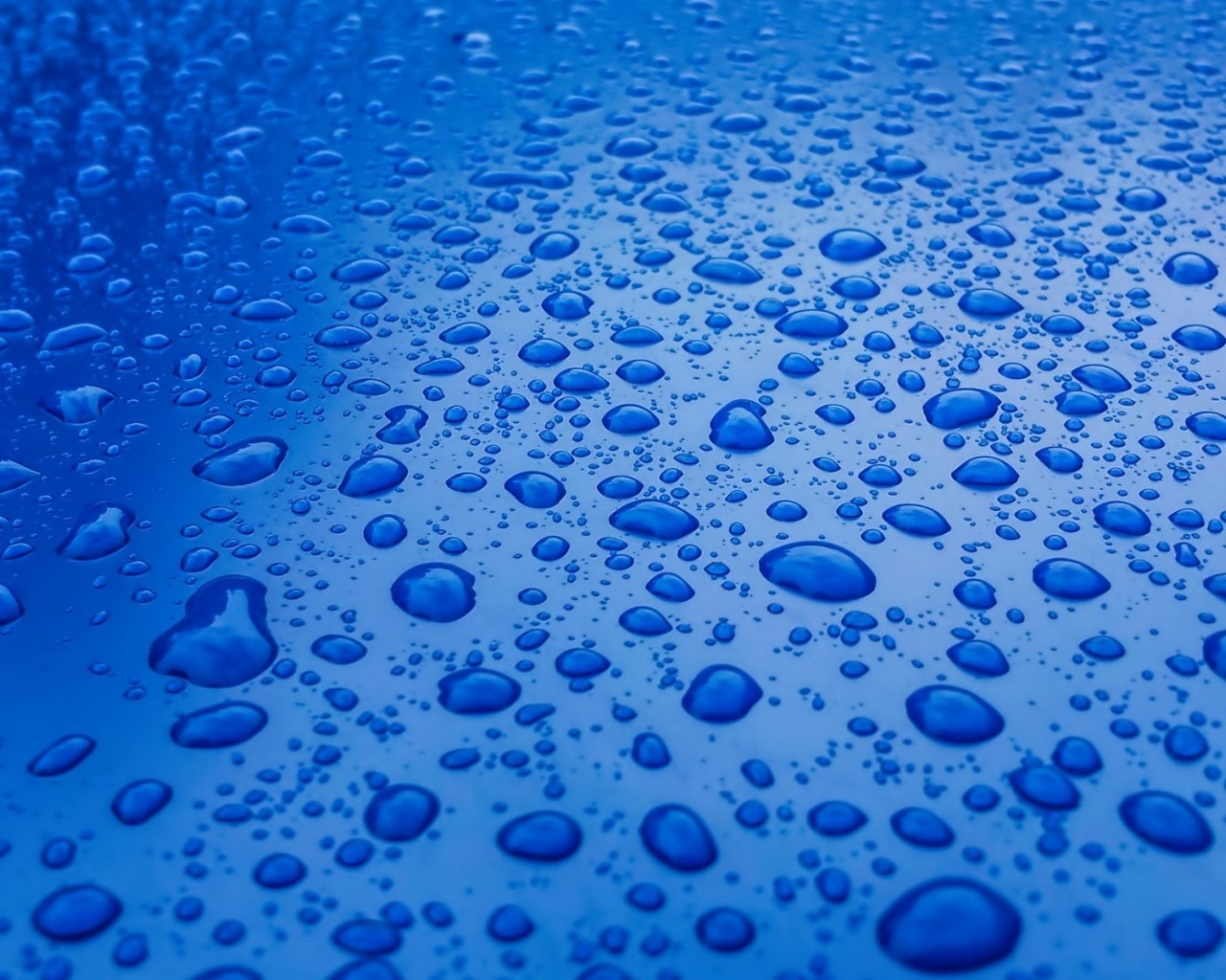 Water Drops for 1280 x 1024 resolution