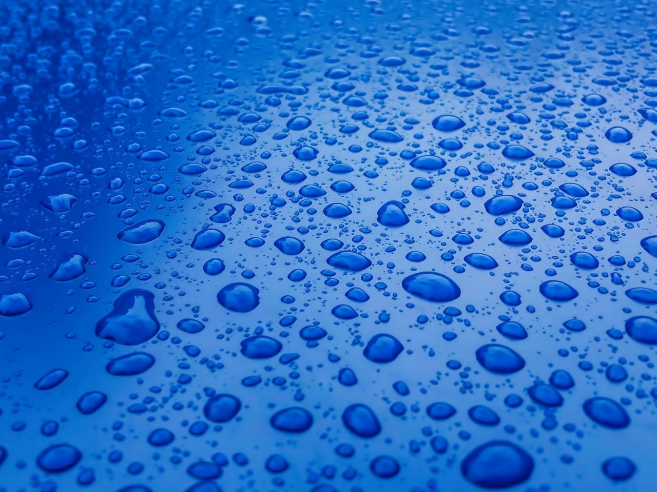 Water Drops for 1280 x 960 resolution