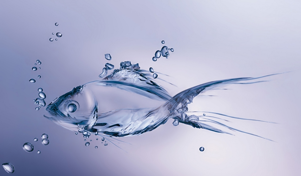 Water Fish for 1024 x 600 widescreen resolution