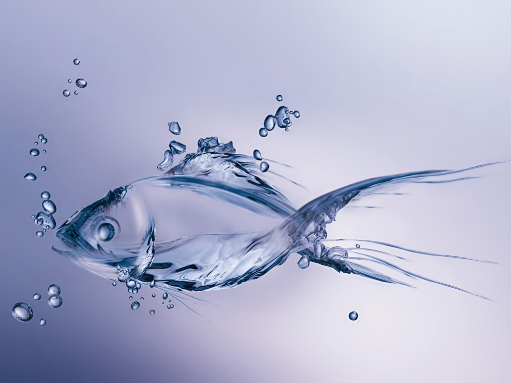 Water Fish for 1024 x 768 resolution