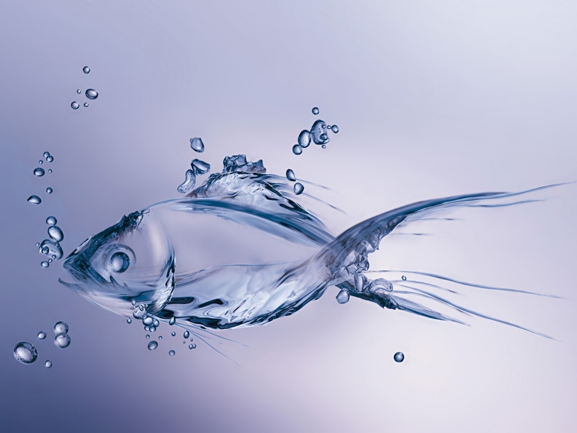 Water Fish for 1152 x 864 resolution