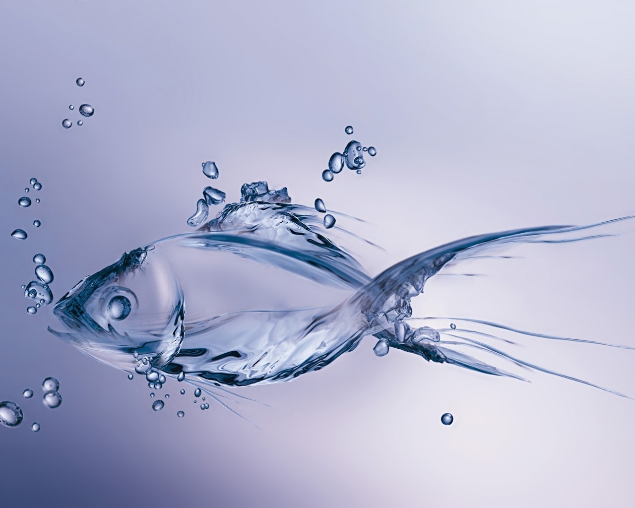 Water Fish for 1280 x 1024 resolution