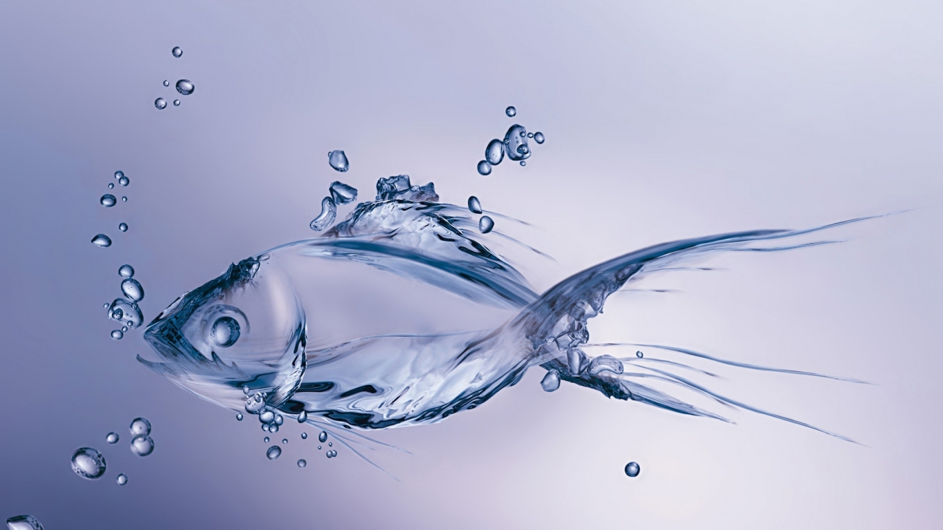 Water Fish for 1366 x 768 HDTV resolution