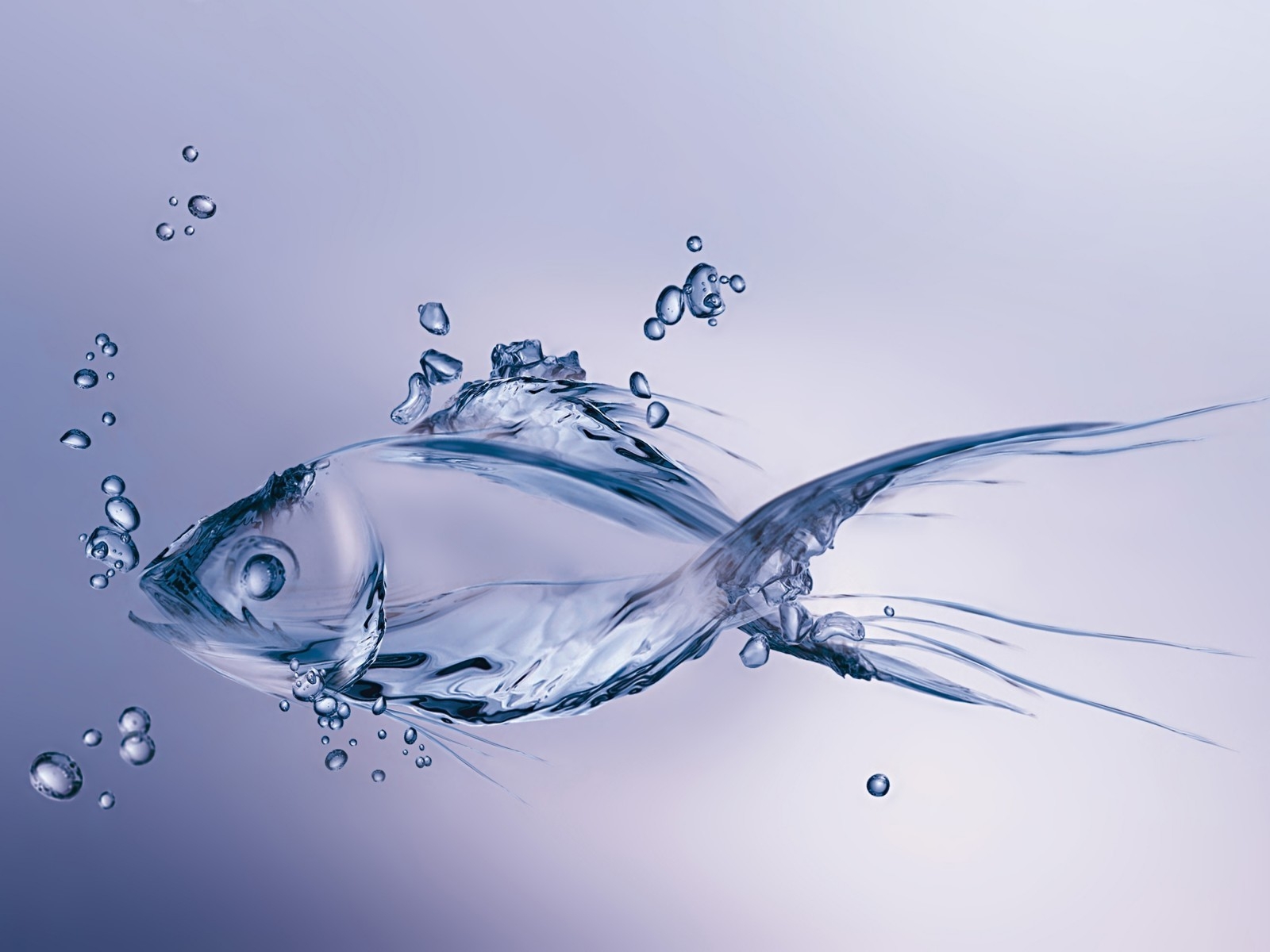 Water Fish for 1600 x 1200 resolution
