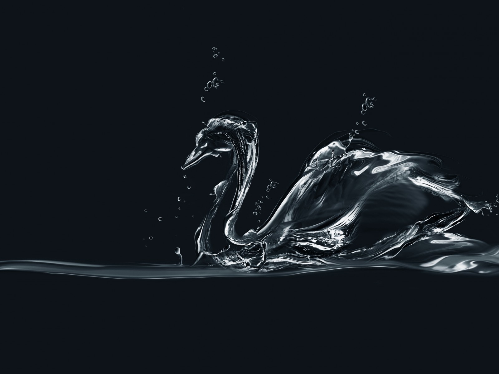 Water Swan for 1600 x 1200 resolution
