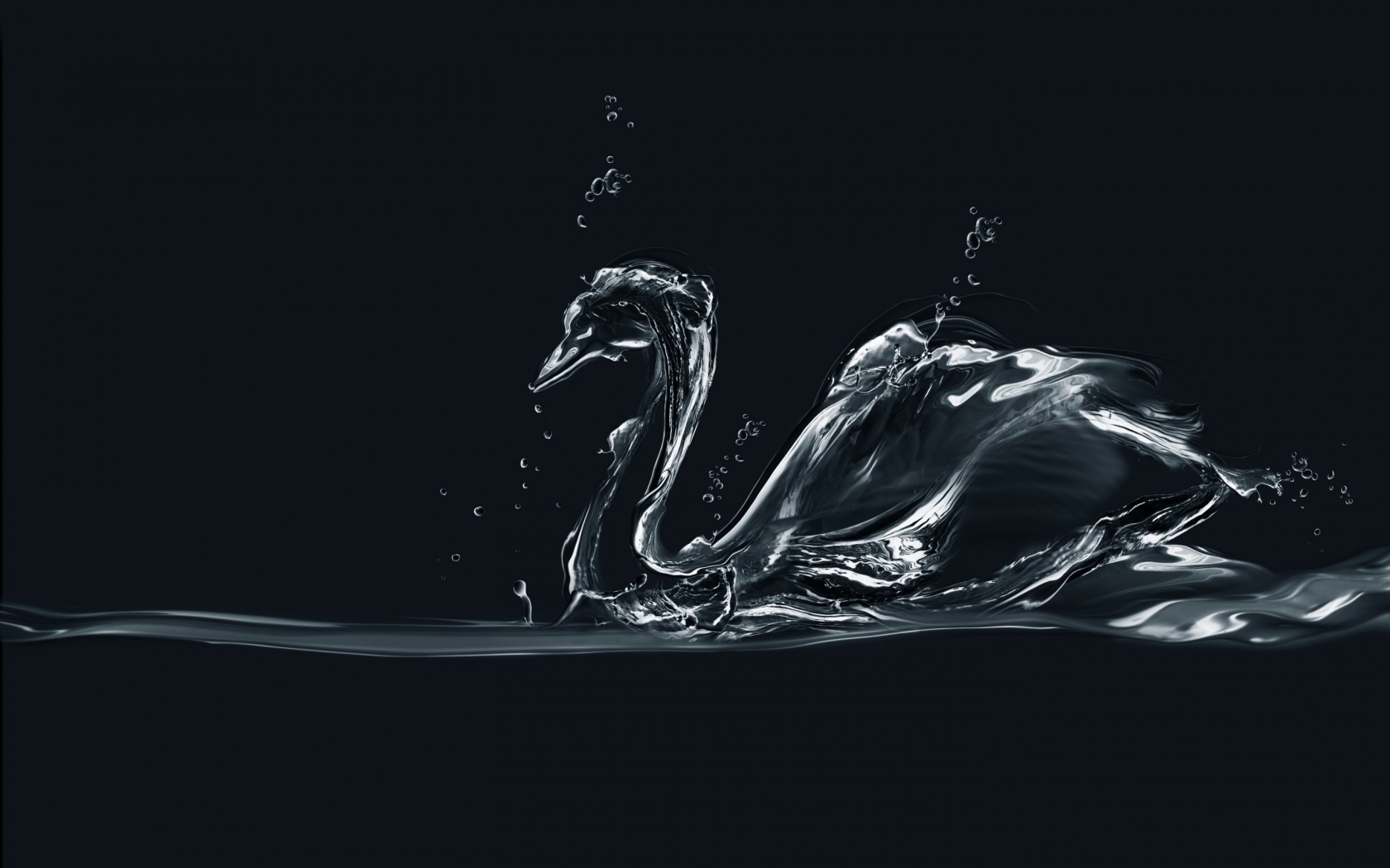 Water Swan for 1680 x 1050 widescreen resolution