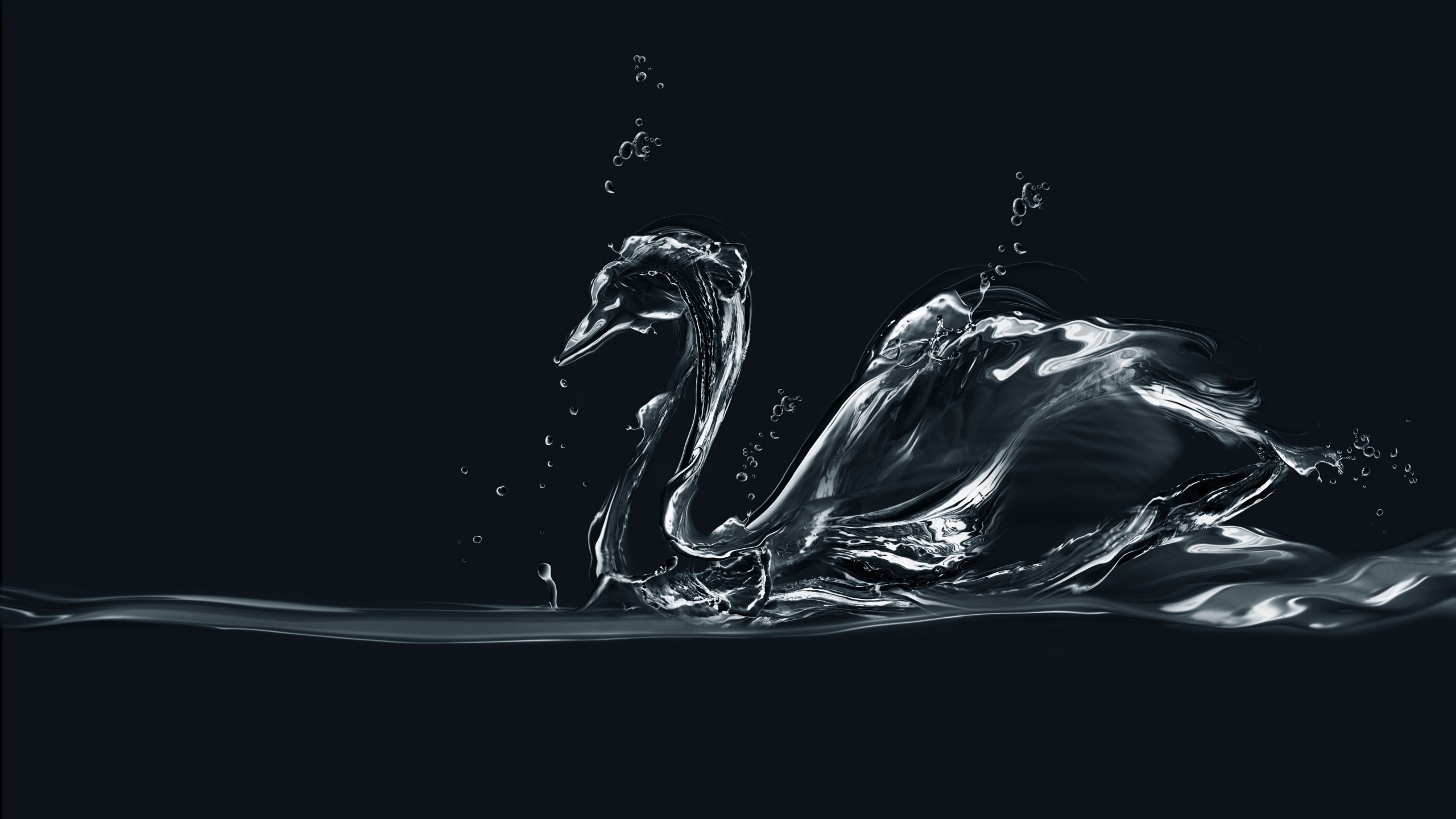 Water Swan for 2560x1440 HDTV resolution