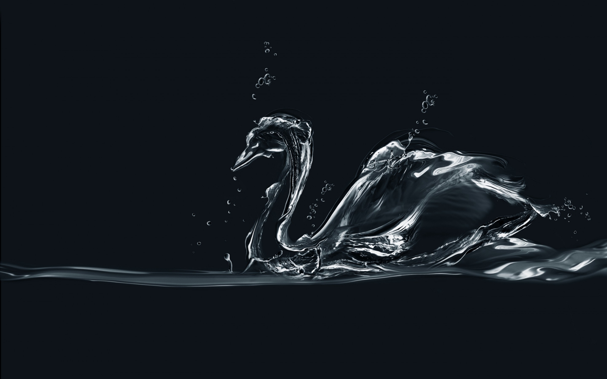 Water Swan for 2560 x 1600 widescreen resolution
