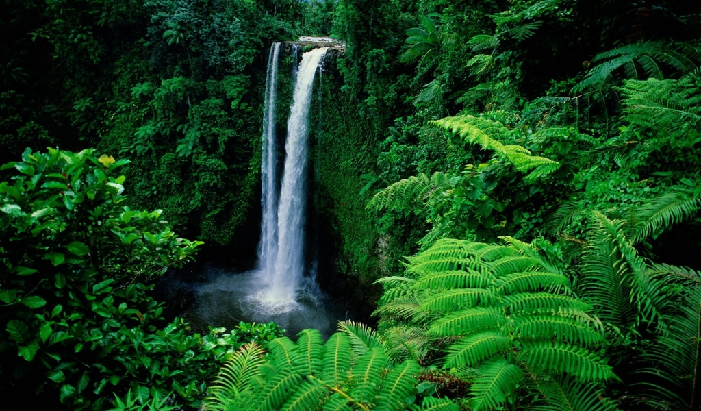 Waterfall in Forest Background for 1024 x 600 widescreen resolution