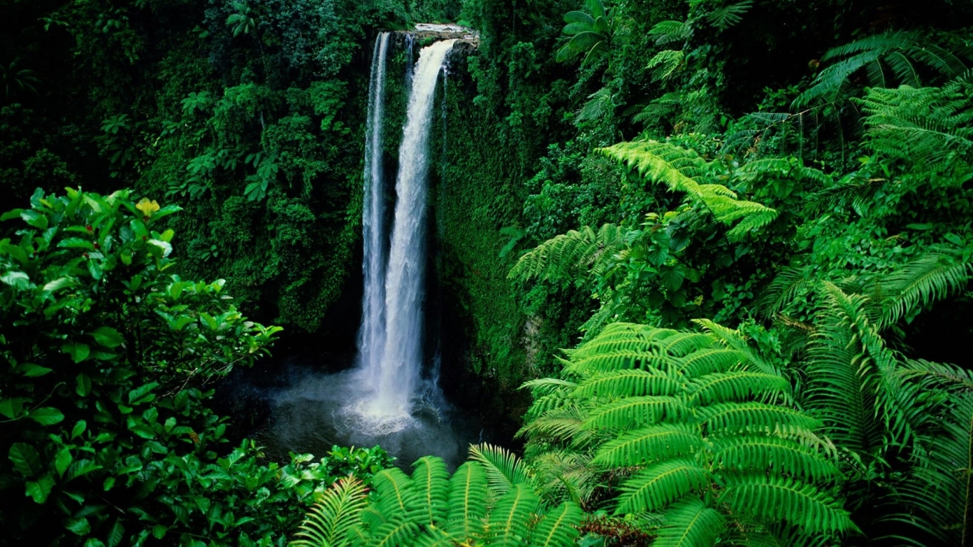 Waterfall in Forest Background for 1366 x 768 HDTV resolution