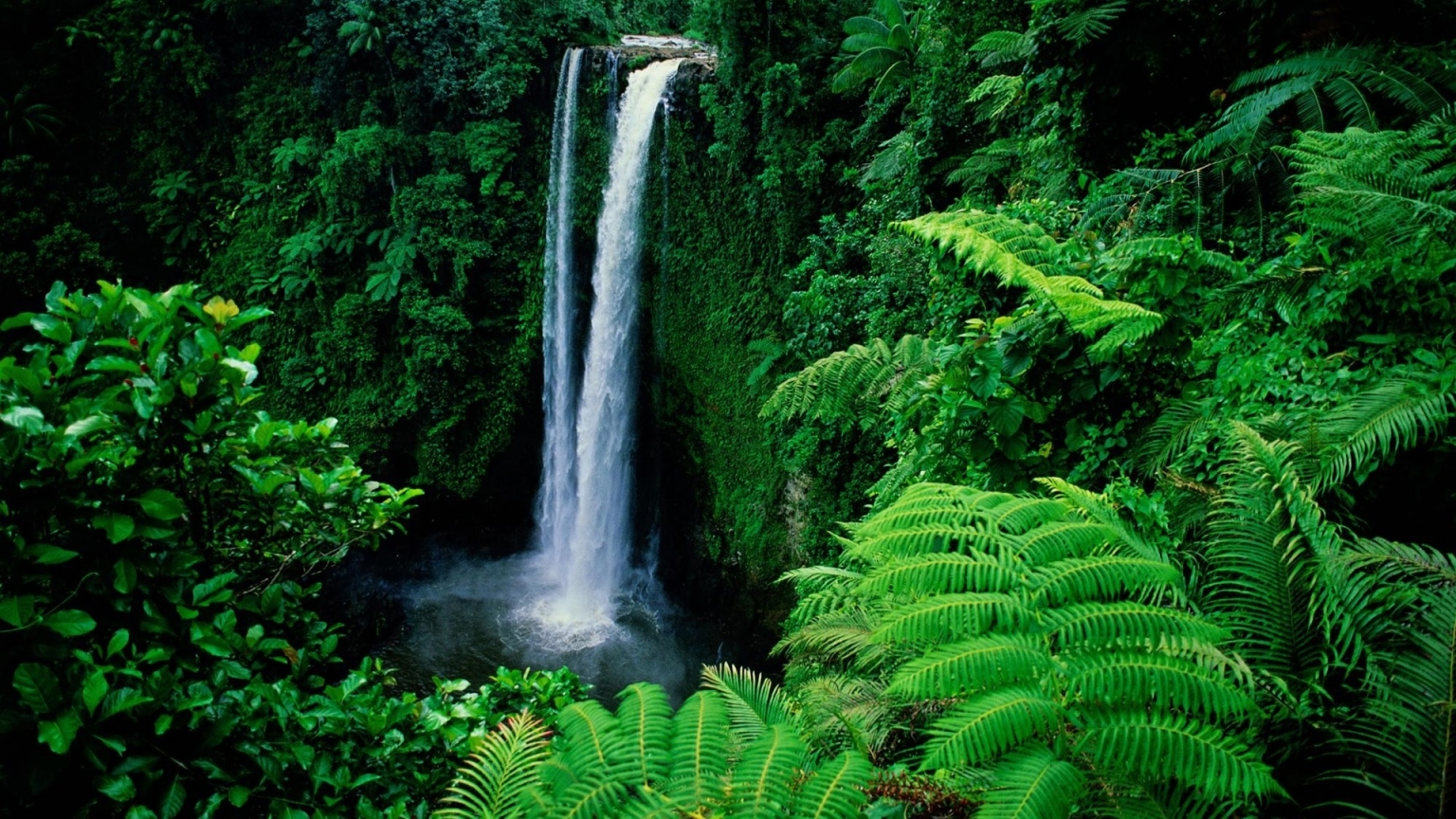 Waterfall in Forest Background for 1536 x 864 HDTV resolution