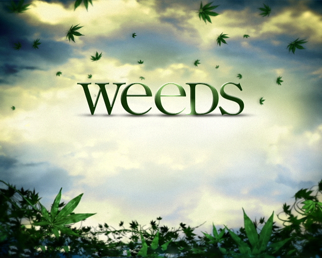 Weeds Logo for 1280 x 1024 resolution