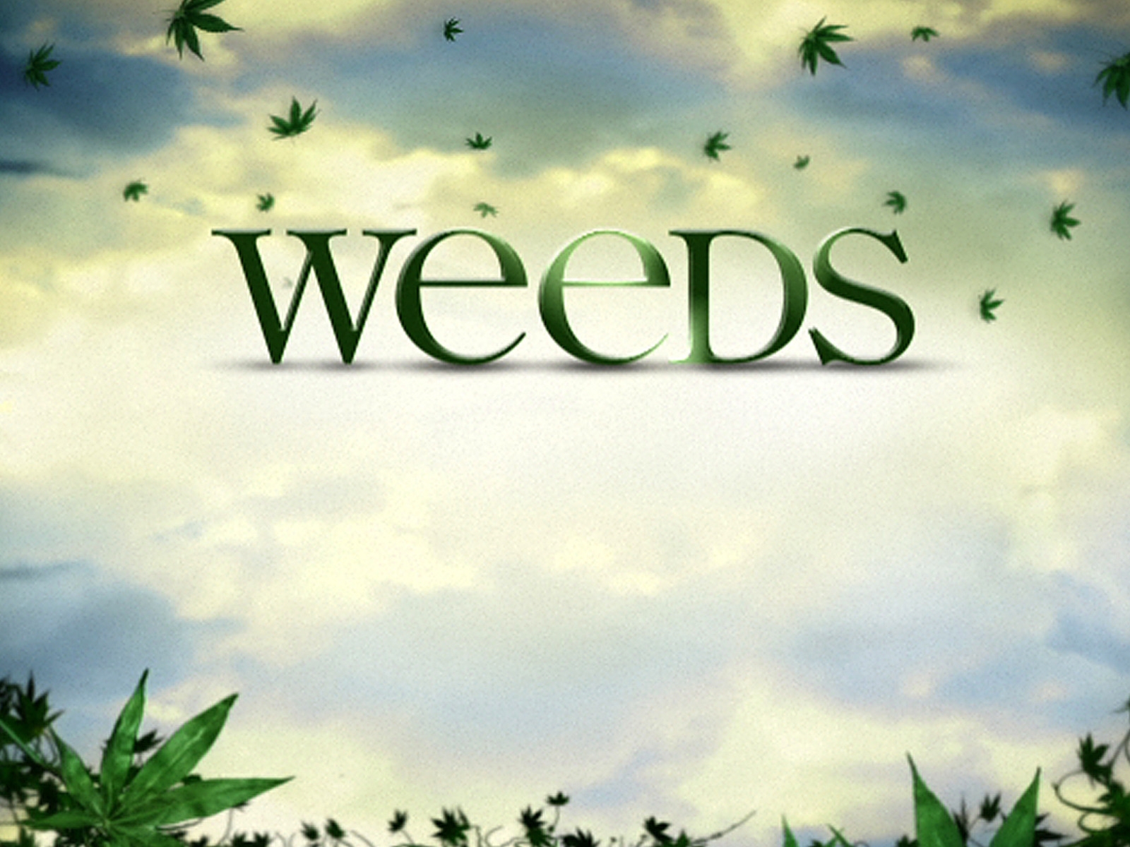 Weeds Logo for 1600 x 1200 resolution