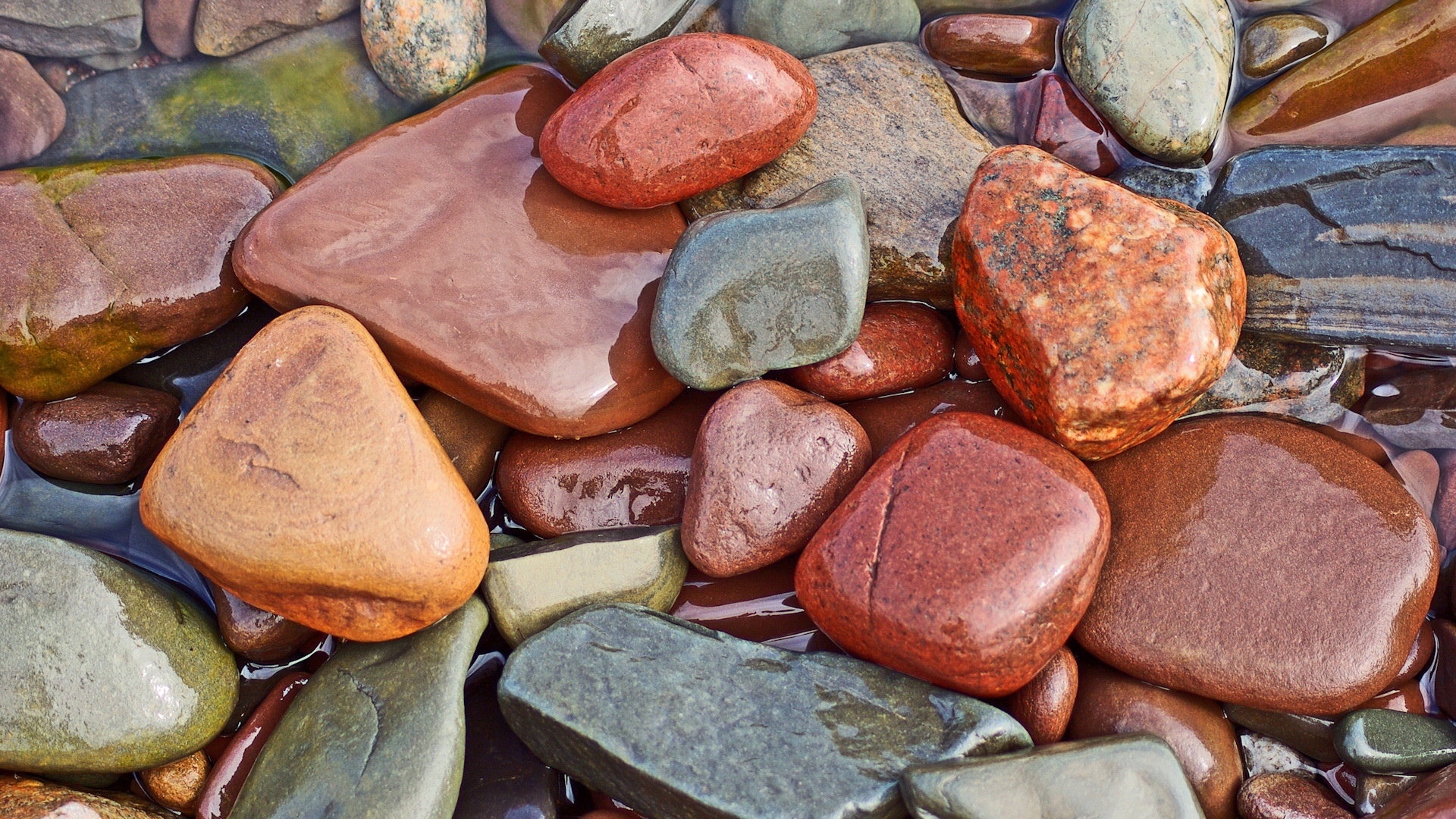 Wet colourful rocks for 1920 x 1080 HDTV 1080p resolution