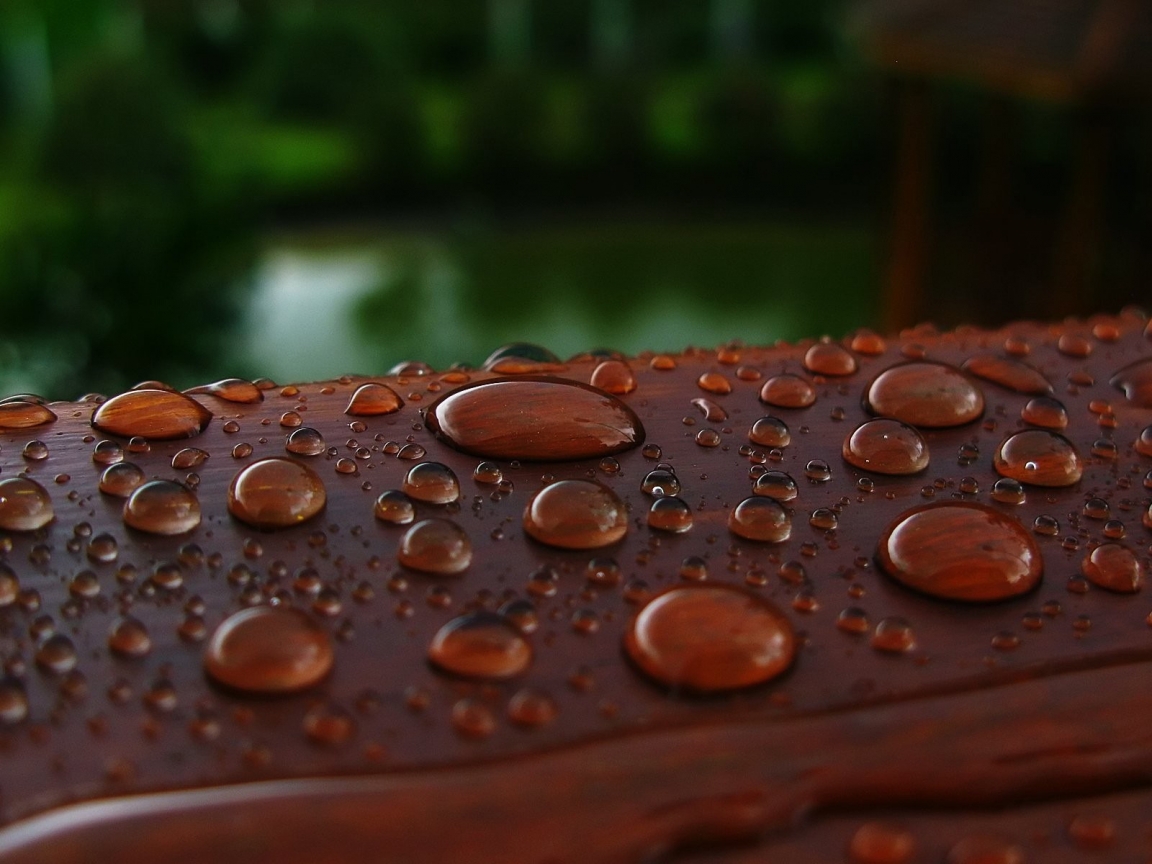 Wet Wood for 1152 x 864 resolution