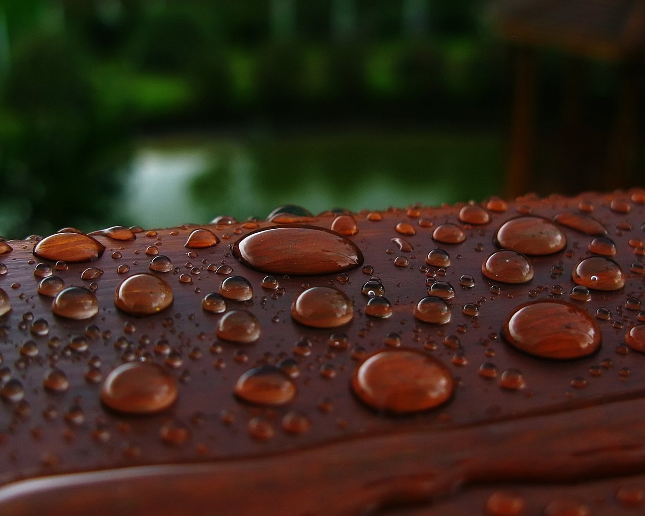 Wet Wood for 1280 x 1024 resolution