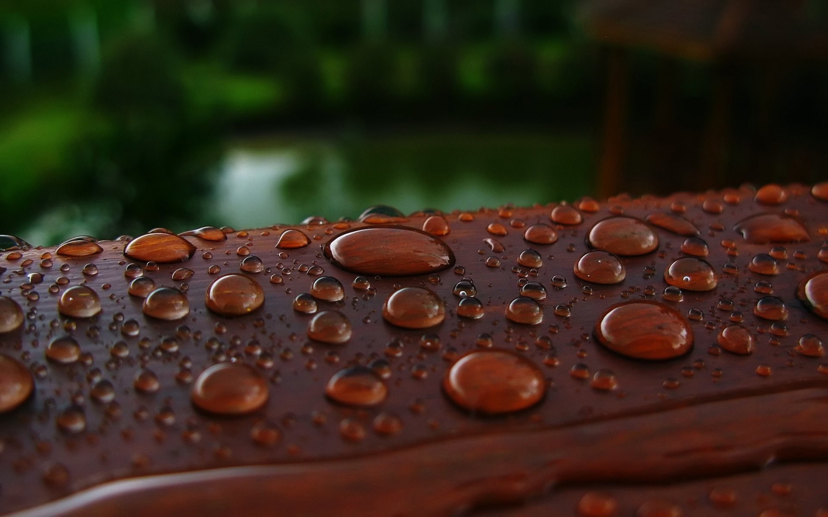 Wet Wood for 1680 x 1050 widescreen resolution