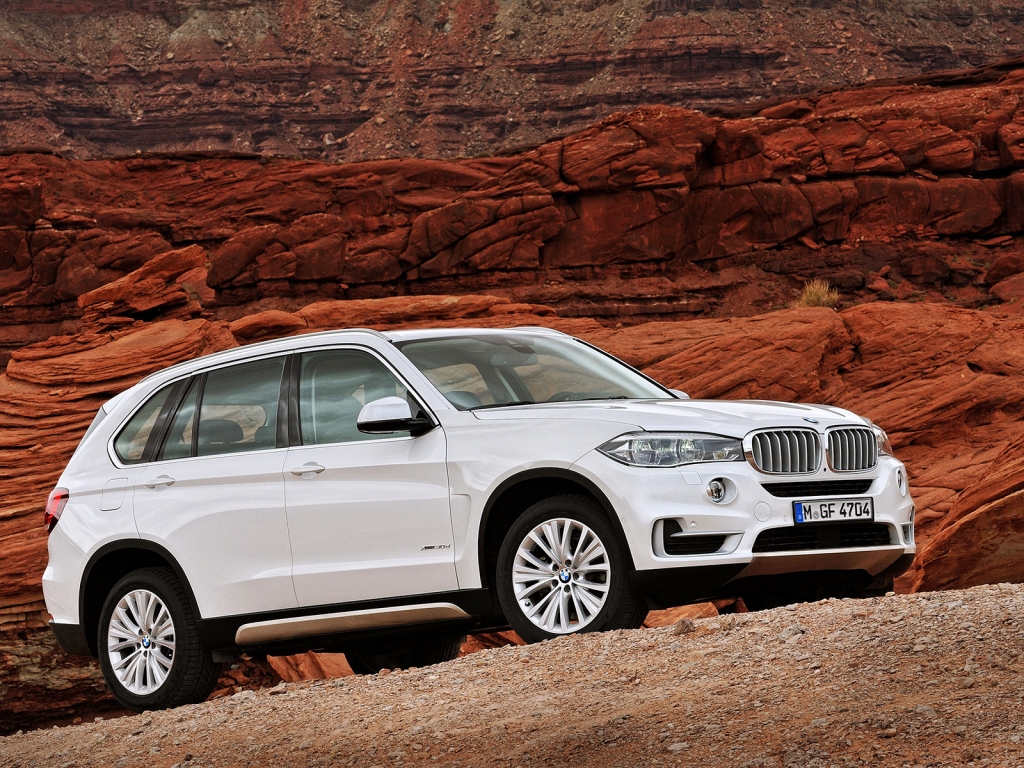 White BMW 2014 X5 for 1024 x 768 resolution