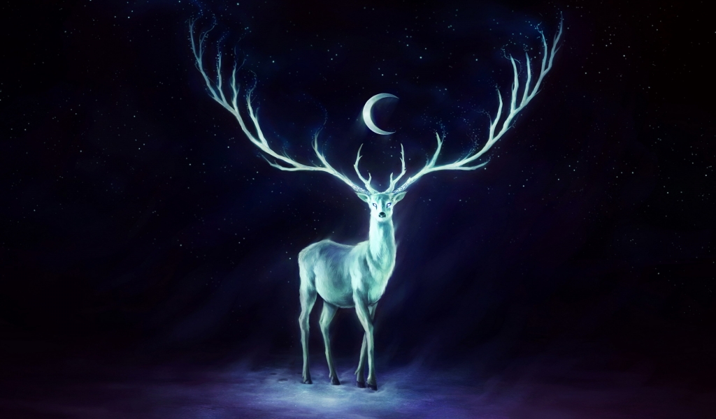 White Deer for 1024 x 600 widescreen resolution