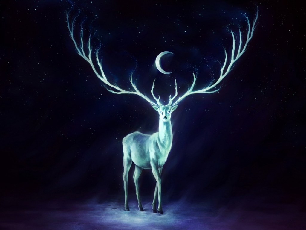 White Deer for 1024 x 768 resolution