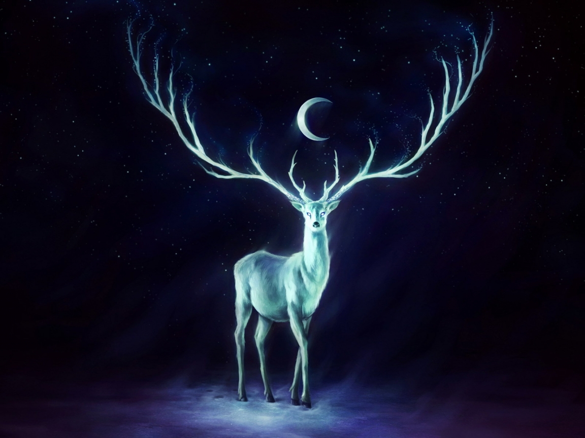 White Deer for 1152 x 864 resolution