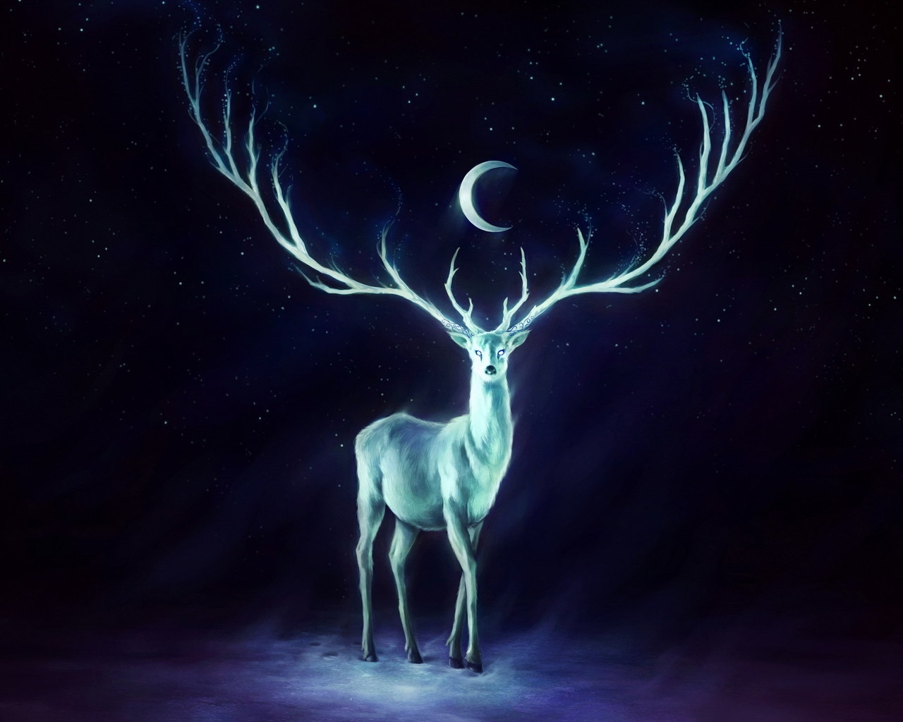 White Deer for 1280 x 1024 resolution