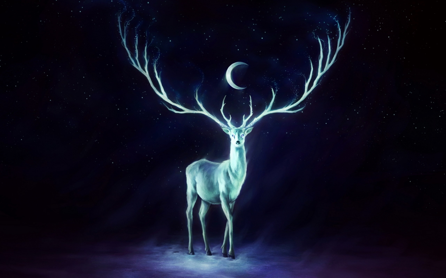 White Deer for 1440 x 900 widescreen resolution