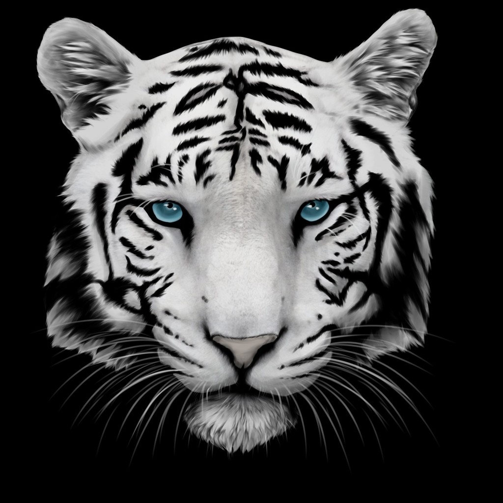 White Tiger and Blue Eyes for 1024 x 1024 iPad resolution