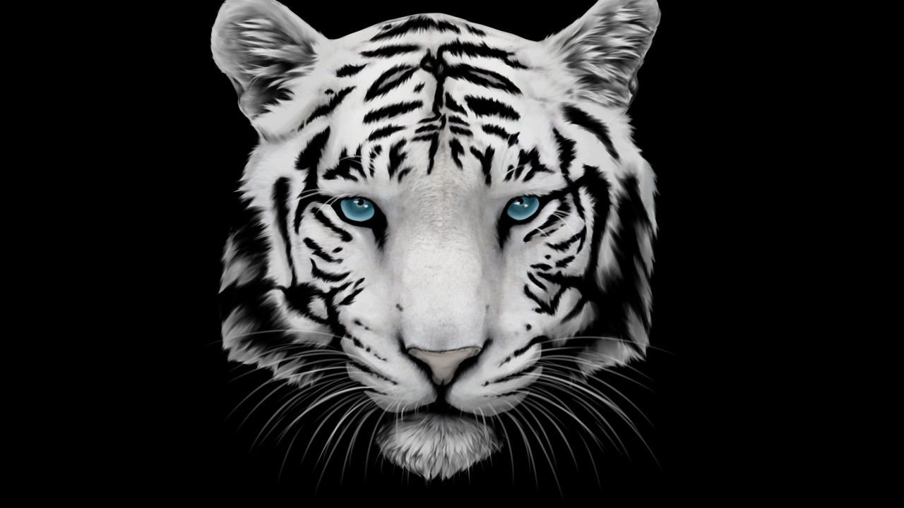 White Tiger and Blue Eyes for 1280 x 720 HDTV 720p resolution