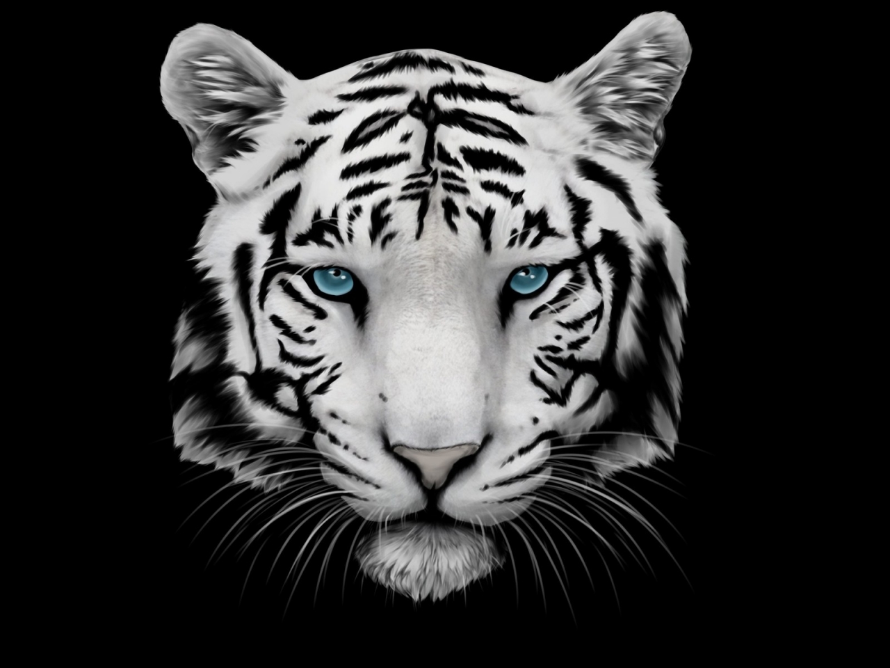 White Tiger and Blue Eyes for 1280 x 960 resolution