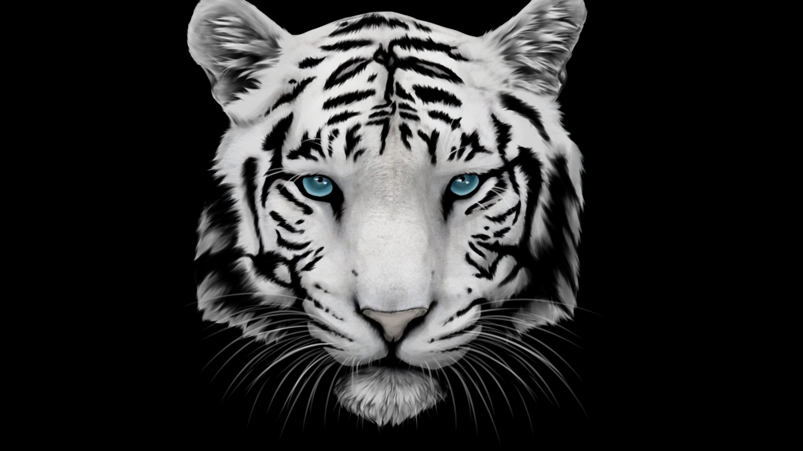 White Tiger and Blue Eyes for 1600 x 900 HDTV resolution