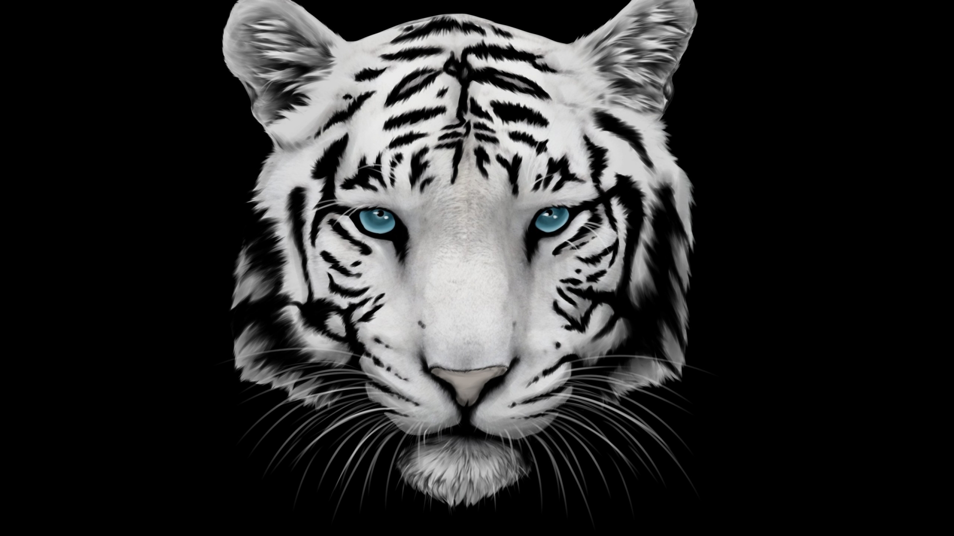 White Tiger and Blue Eyes for 1920 x 1080 HDTV 1080p resolution