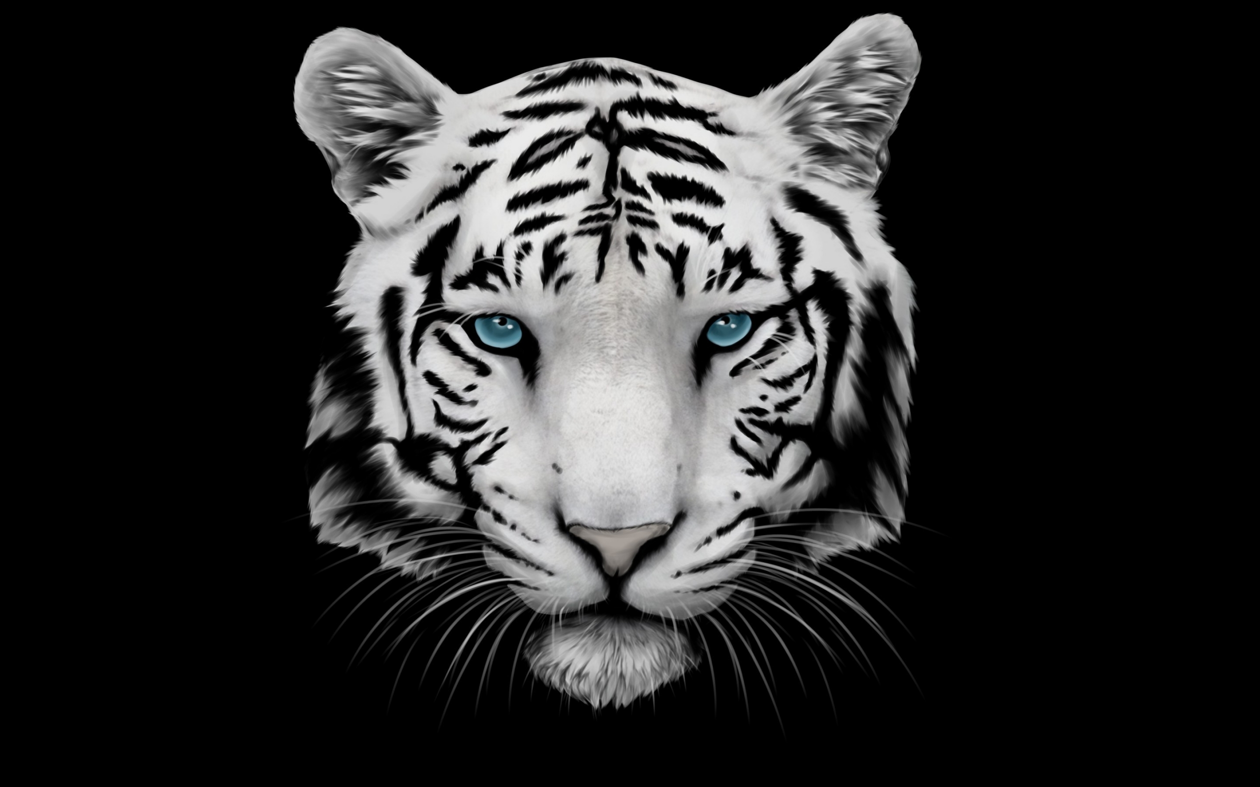 White Tiger and Blue Eyes for 2560 x 1600 widescreen resolution